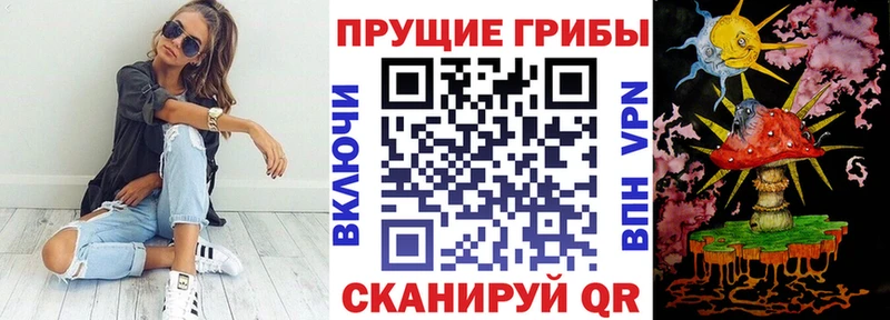 нарко площадка официальный сайт  Нариманов  Галлюциногенные грибы Psilocybe 